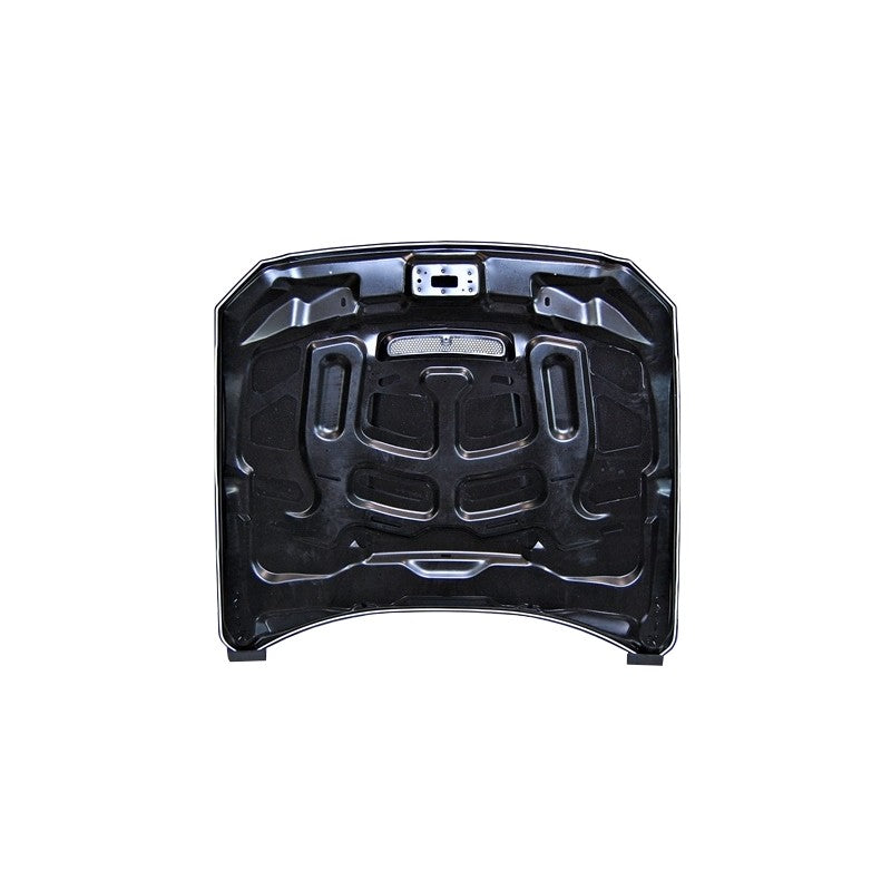 Motorkap Ford Mustang 2015-2017 look GT350 Aluminum